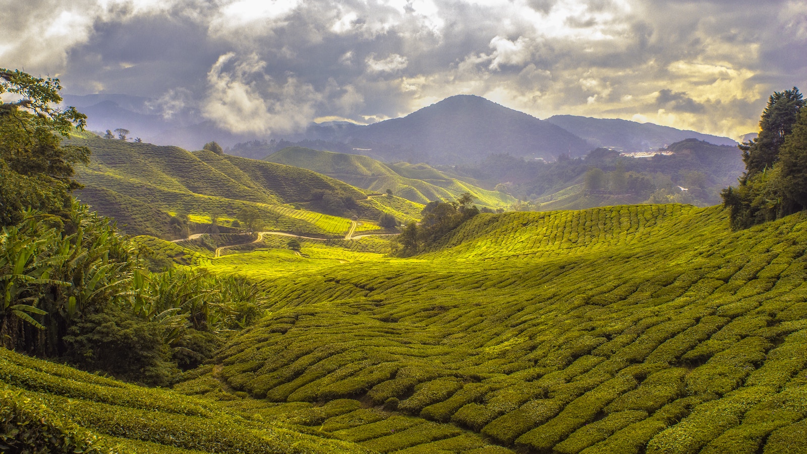 Mountains- Wander Lanka